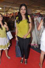at Sahchari foundations Design One exhibition in Mumbai on 7th March 2013 (102).JPG